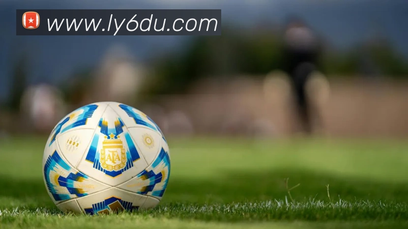 九州网页版平台生态图